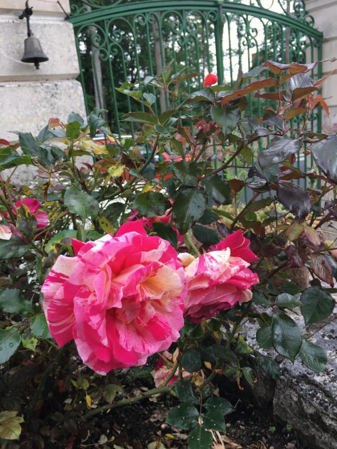 Bed and Breakfast La Valiniere Seur Exterior foto